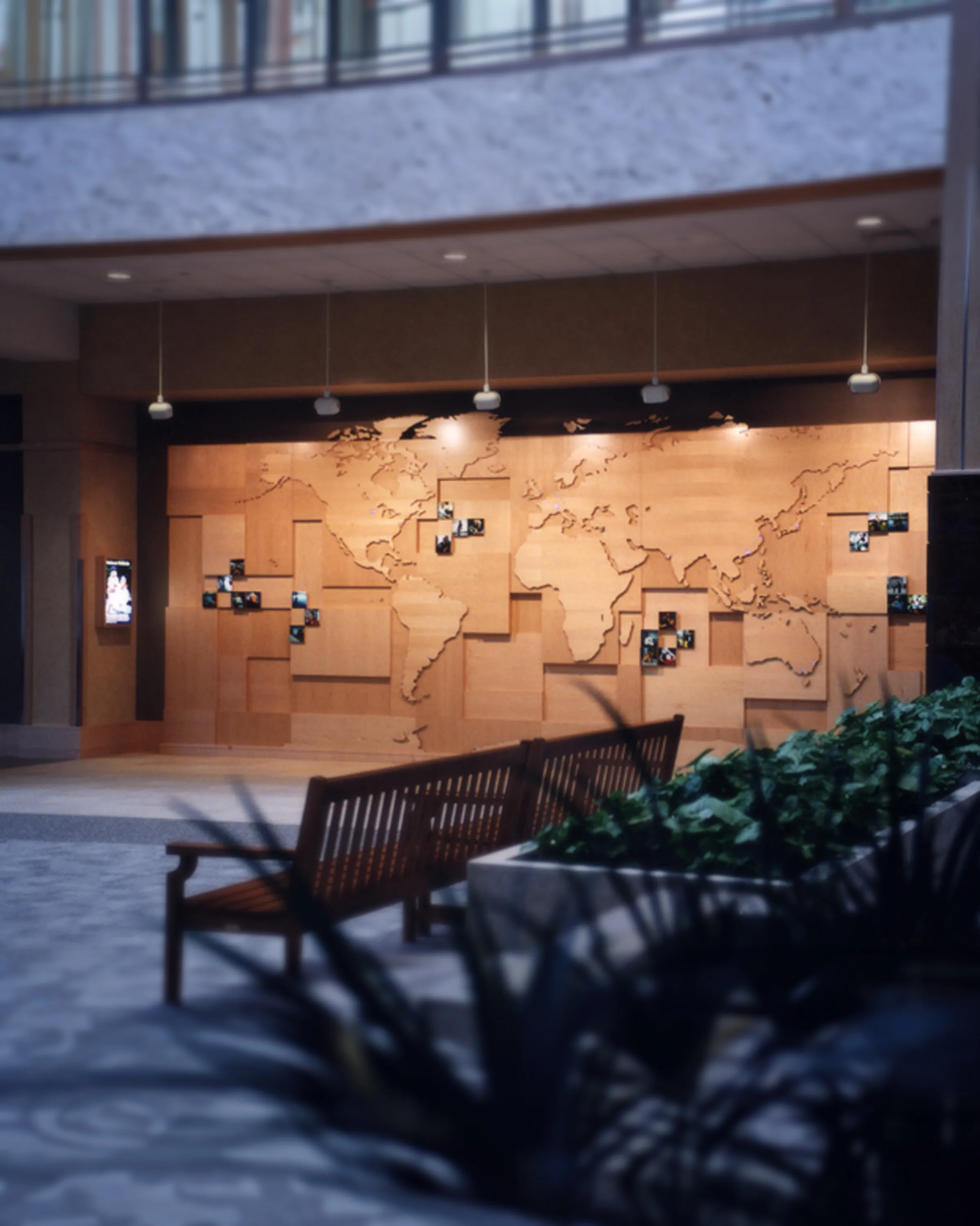 Medtronic Wood Map Display